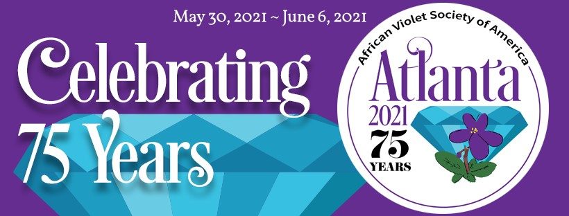 Atlanta AVSA 2021 Convention Cover