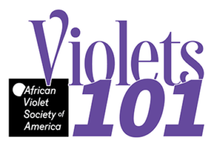 Violets 101 image designating the African Violet Society of America is providing the information