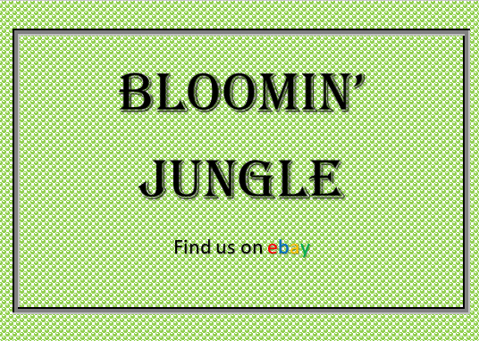 Bloomin&#039; Jungle logo