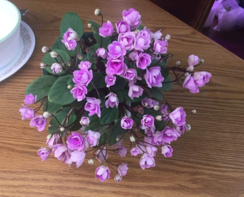 Cirelda Semiminiature Trailer with pink double flowers