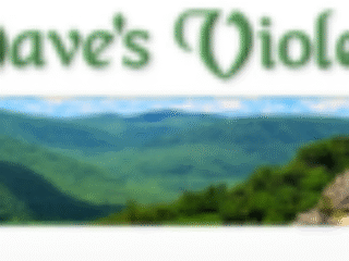 Dave's Violets logo