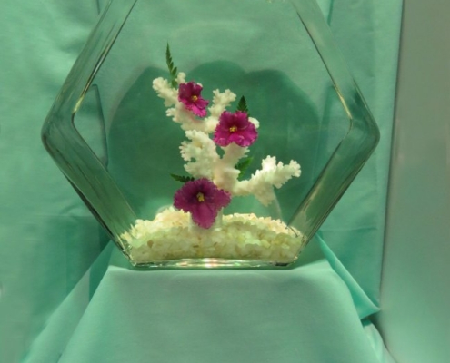 Underwater African violet design using three red flowers and coral