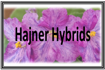 Hajner Hybrids logo