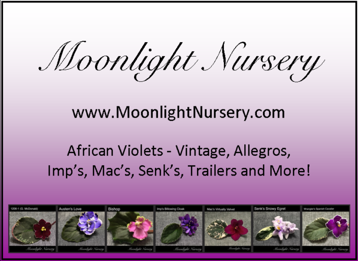 Moonlight Nursery