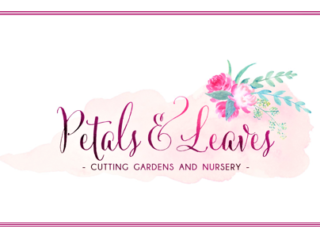 Petals &amp; Leaves Cutting Gardens and Nursery