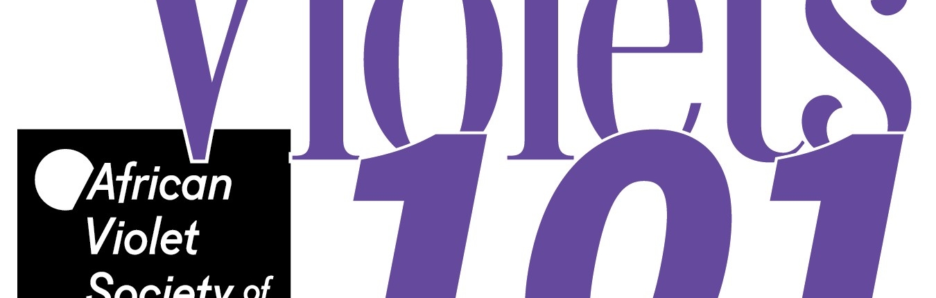 Brandmark for Violets 101