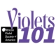 Brandmark for Violets 101