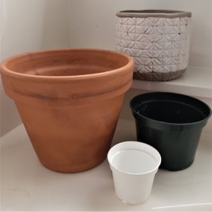 Clay, plastic and decorative pots