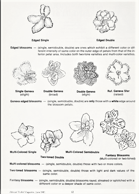 Flower and Leaf Types pg 2