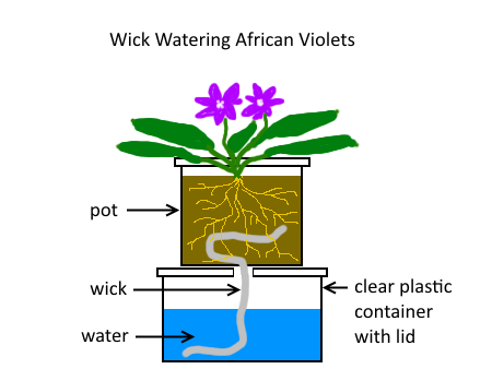 Wick-water diagram
