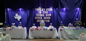 Three tables with winning exhibits from the 2019 AVSA Convention in Houston Texas