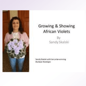 Growing and Showing African Violets Webinar Download by Sandra Skalski