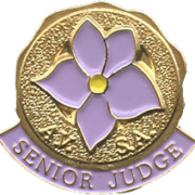Image of round gold lapel pin with lavender violet in enamel and the words "AVSA Senior Judge" below