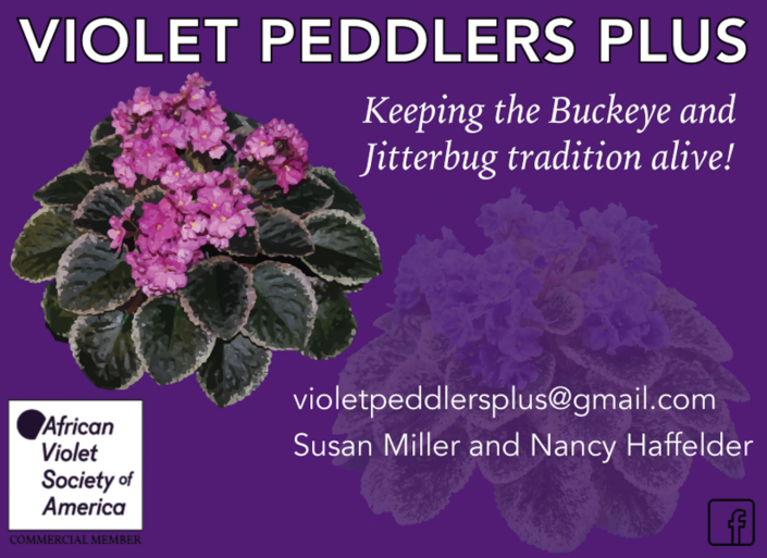 Violet Peddlers Plus