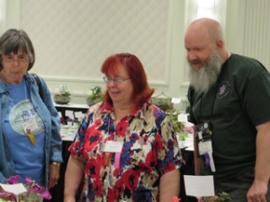Three judges looking at African violet exhibits