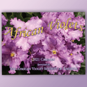 2021 Calendar with lavender flowers on cover