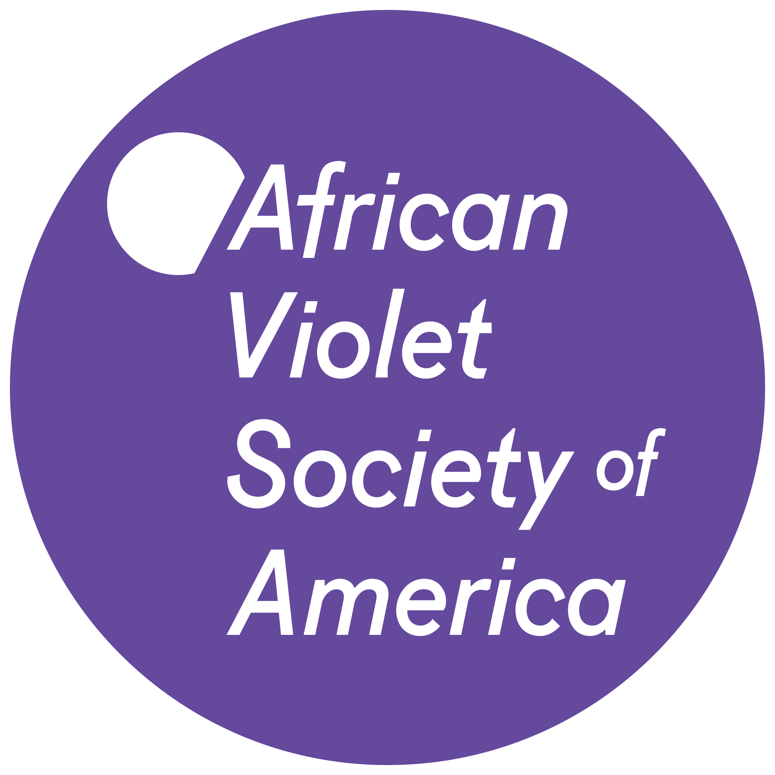 Image of American Violet Society website