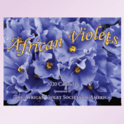 2020 African Violet Calendar