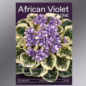 African Violet Magazine Cover July 2020