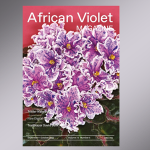 African Violet Magazine Cover September 2020