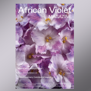 African Violet Magazine Cover November 2020