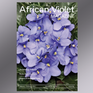 African Violet Magazine Cover January 2021
