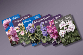6 African Violet Magazines in a row