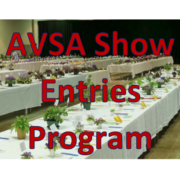 AVSA Show Entries Program Graphic