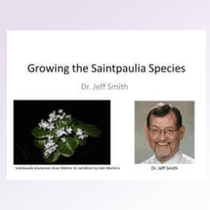 Growing the Saintpaulia Species DVD by Dr. Jeff Smith