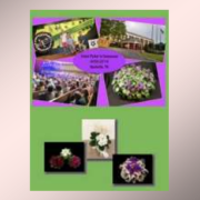 African Violet Society of American 2014 Nashville convention media
