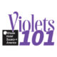 Violets 101 square graphic
