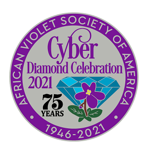 2021 AVSA Cyber convention souvenir pin