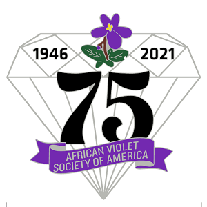 AVSA 75th Anniversary souvenir pin diamond shaped