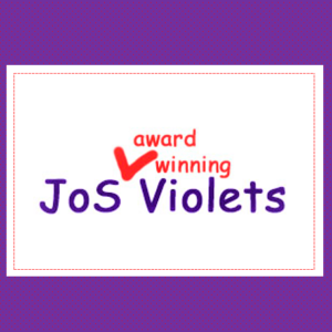 JoS Violets Square