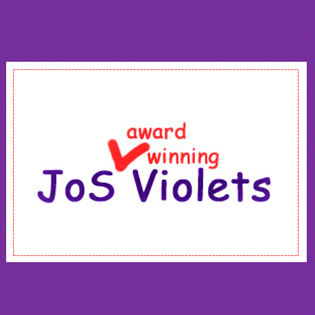 JoS Violets Logo-Square