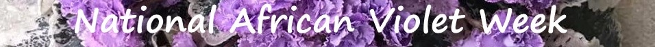 National African Violet Week banner