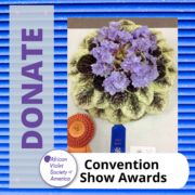DONATE AVSA show awards graphic with photo of award winning African violet