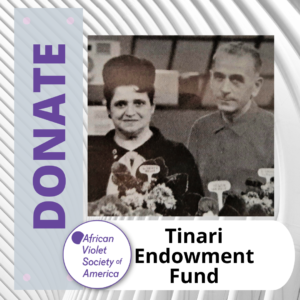 Donate Tinari Endowment Fund graphic with photo of Frank and Anne Tinari