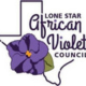 Lone Star Council