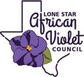 Lone Star Council