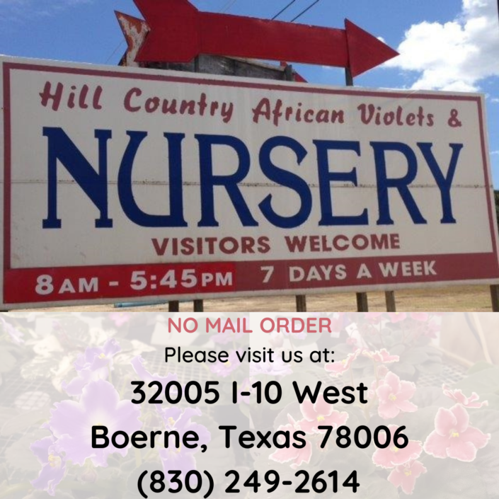Hill Country African Violets and Nursery