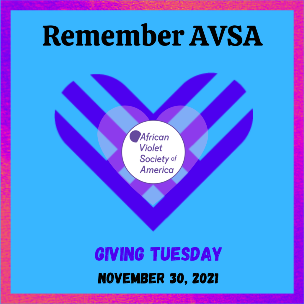 AVSA Giving Tuesday 2021