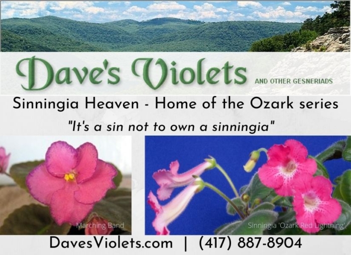 Dave&#039;s Violets logo