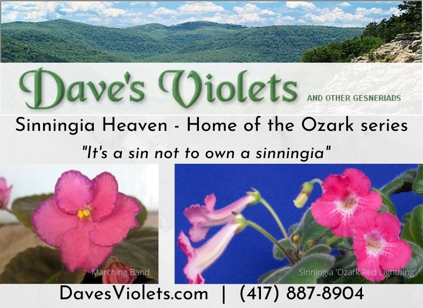 Dave's Violets logo
