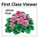 First-Class-Viewer-Logo