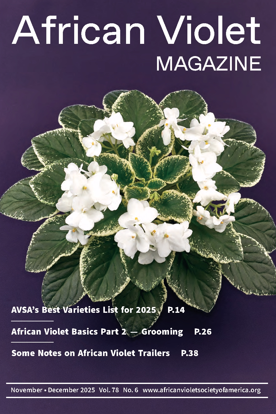 AVM 2025-6 Nov-Dec Cover