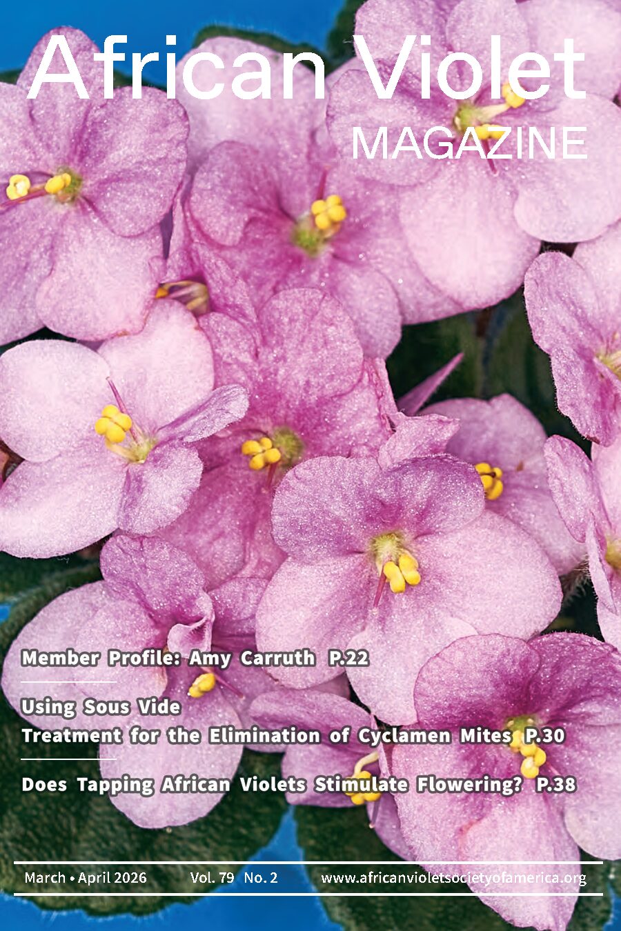 AVM 2026-2 Mar-Apr Cover