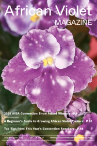 African Violet Magazine 2026 Jul-Aug Cover