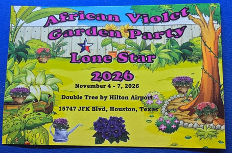 African Violet Garden Party