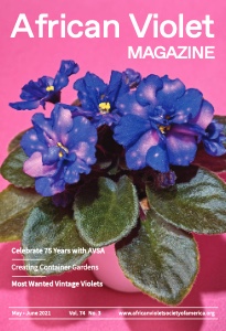 Member Only Content African Violet Society Of America